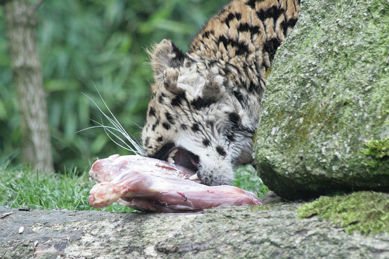 Fotoclubje Blijdorp 2008-101.jpg